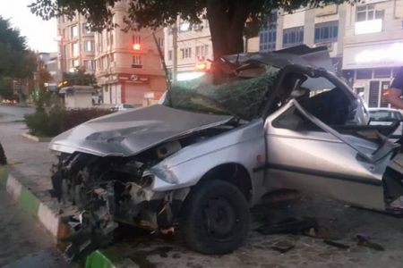 درختی که جان دو نفر در کرمانشاه را گرفت