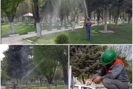 رئیس سازمان سیما، منظر و فضای سبز شهرداری کرمانشاه:  آغاز عملیات سم‌پاشی درختان نارون شهر کرمانشاه