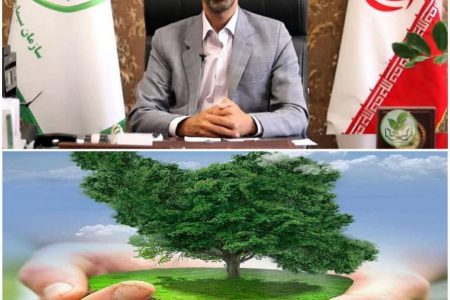رئیس سازمان سیما، منظر و فضای سبز شهری:همه مسئول حفظ محیط زیست و فضای سبز هستیم