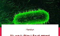 توصیه های مرکز بهداشت درباره وبا