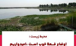 محیط زیست؛اوضاع فعلا خوب است،امیدواریم سراب نیلوفر امسال خشک نشود