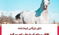 اتاق بازرگانی کرمانشاه:تلاش برای ثبت ملی اسب و احداث میدان سوارکاری کردی