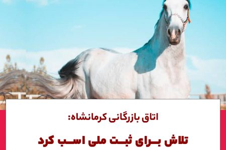 اتاق بازرگانی کرمانشاه:تلاش برای ثبت ملی اسب و احداث میدان سوارکاری کردی