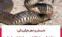 بعد از نیش مار فقط ۲ ساعت فرصت دارید