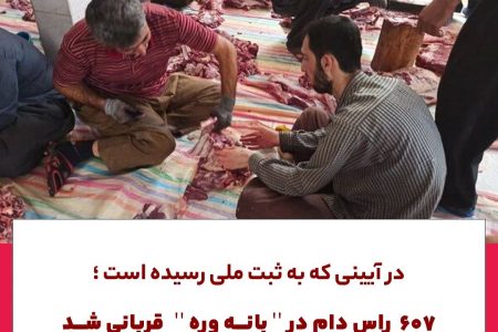 در آیینی که به ثبت ملی رسید؛۶۰۷راس دام در بانه وره قربانی شد