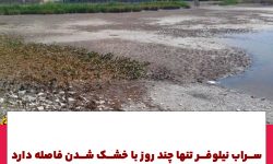 اوضاع “سراب نیلوفر” بحرانی است