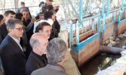 وزیر نیرو از سراب تاریخی هرسین بازدید کرد