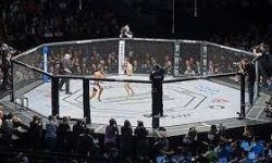 MMA در کرمانشاه راه اندازی شد