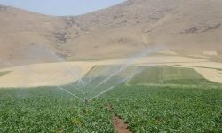 وزیر نیرو: پیگیر تامین اعتبار “سامانه سردسیری” هستیم