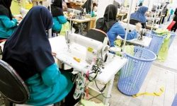 وام صد میلیون تومانی برای زنان سرپرست خانوار