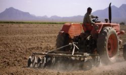 عمق خاک زراعی در کرمانشاه ۲۵ سانتی‌متر است/ فرسایش خاک امنیت غذایی را تهدید می‌کند