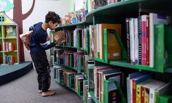 خیران امسال ۸ هزار جلد کتاب به کتابخانههای عمومی کرمانشاه اهدا کردند.