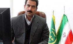 سرپرست جهاد کشاورزی استان: افزایش ۱۰ درصدی تولیدات کشاورزی کرمانشاه را هدفگذاری کردهایم
