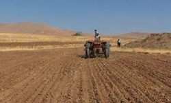 آغاز کشت پاییزه گندم در استان کرمانشاه