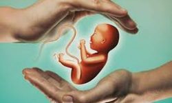 کدام زوجین نابارور مشمول خدمات بیمه سلامت می‌شوند؟