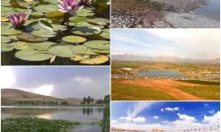 تا چندسال آینده دیگر سراب نیلوفری وجود نخواهد داشت