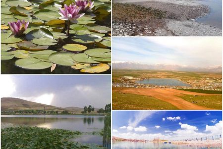 تا چندسال آینده دیگر سراب نیلوفری وجود نخواهد داشت