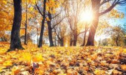 اولین دمای زیر صفر امسال به ثبت رسید