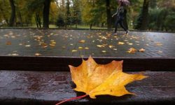 بارشهای پاییزی در استان کرمانشاه ۴۴ درصد کاهش یافت