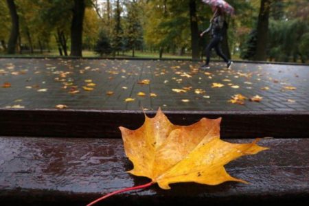 بارش‌های پاییزی در استان کرمانشاه ۴۴ درصد کاهش یافت