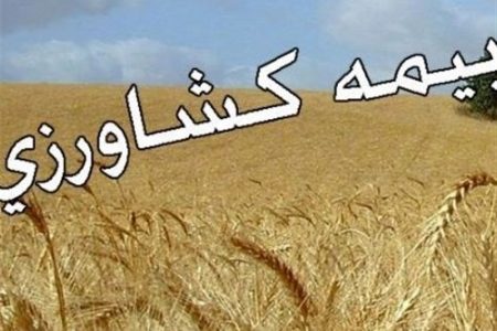 پرداخت ۷۰ میلیارد تومان برای جبران خسارت خشکسالی به کشاورزان کرمانشاهی