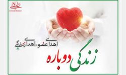 اهدا اعضا شهروند سنقری به ۸ نفر جانی دوباره بخشید