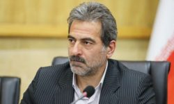 پیش بینی کشت قراردادی ۹۸ هزار هکتار گندم آبی در کرمانشاه/ کشاورزی قراردادی ضامن تولید پایدار است