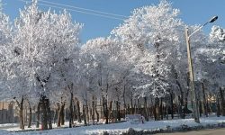 دمای کنگاور به منفی ۲۰ درجه رسید
