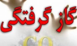 گاز مونواکسید ۱۲ نفر را رهی بیمارستان کرد