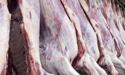 فرآیند توزیع گوشت قرمز در استان نیازمند اصلاح است