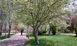گرمای تابستانی اسفندماه کرمانشاهی‌ها را غافلگیر کرد/ این هفته هم باران نداریم