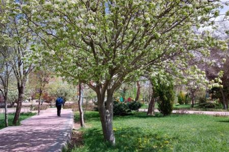 گرمای تابستانی اسفندماه کرمانشاهی‌ها را غافلگیر کرد/ این هفته هم باران نداریم