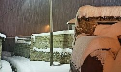ارتفاع برف در «کنگاور» به ۳۸ سانتی‌متر رسید