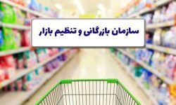 تشکیل “سازمان بازرگانی و تنظیم بازار” طرحی شتاب‌زده و بی‌اثر است