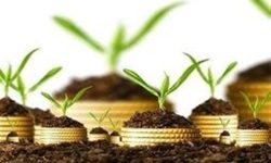 تمدید مهلت بیمه محصولات کشاورزی