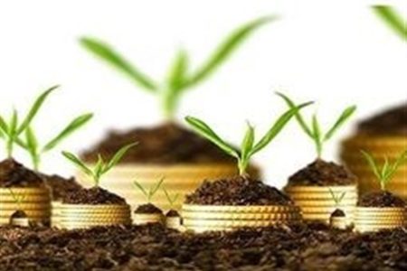 تمدید مهلت بیمه محصولات کشاورزی