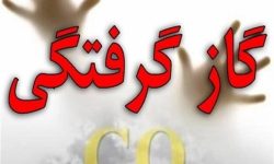 مسمومیت ۴ نفر با گاز مونوکسید کربن در اسلام آباد غرب