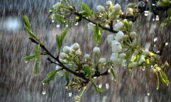 بارش باران در نخستین روز سال نو در کرمانشاه/دمای هوا کاهش می یابد