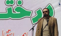 کرمانشاه کمبود “فضای سبز” دارد/ ۳۱۶ هکتار از اراضی جنوب شهر درختکاری می‌شود