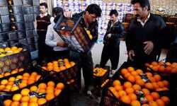 قیمت میوه شب عید در کرمانشاه اعلام شد