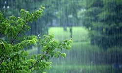 در شبانه روز گذشته؛ ثبت بیشترین میزان بارش برای کرند