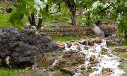 کاهش ۸ درصدی بارشهای کرمانشاه نسبت به میانگین بلندمدت