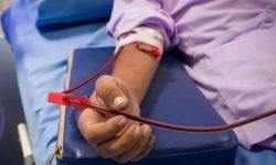 خدمات درمانی به ۲۳۸ بیمار مبتلا به هموفیلی در کرمانشاه ارایه می‌شود