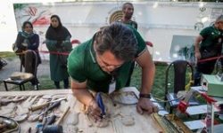طاقبستان میزبان اولین رویداد بینالمللی روزجهانی چوب درخاورمیانه