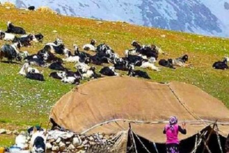 خسارت ۲۰۰ میلیارد ریالی بارندگی‌های بهاری به زیرساخت‌های عشایری استان کرمانشاه