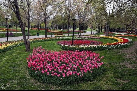 دومین پارک بانوان کرمانشاه در نیمه اول امسال به بهره‌برداری می‌رسد