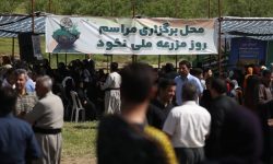 کرمانشاه، پیشتاز تولید نخود در کشور