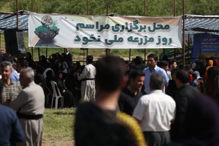 کرمانشاه، پیشتاز تولید نخود در کشور