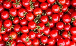 ممنوعیت صادرات گوجه فرنگی از مرز پرویزخان تا اطلاع ثانوی