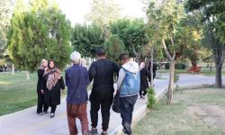 معتادان کرمانشاهی چند‌گانه‌سوز ‌شده‌اند